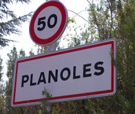 Planoles